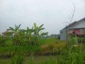dijual-tanah-sawah-strategis-jombang-small-1