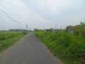 dijual-tanah-sawah-strategis-jombang-small-2