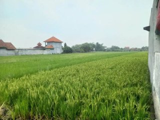 DIJUAL TANAH SAWAH STRATEGIS JOMBANG
