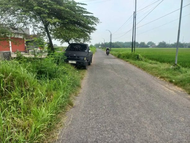 dijual-tanah-sawah-strategis-jombang-big-3