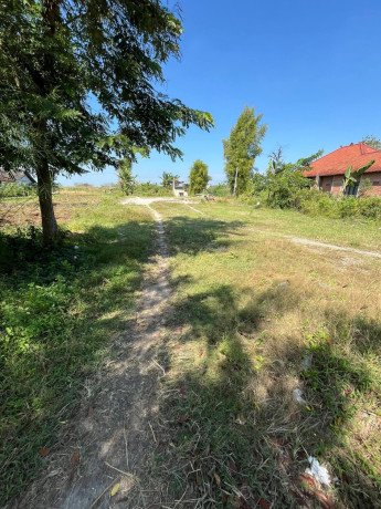 dijual-tanah-strategis-pinggir-jalan-raya-mentoro-soko-tuban-big-1