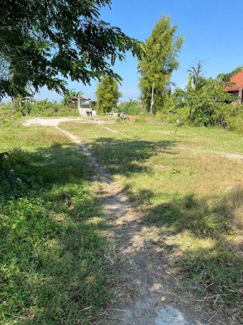 dijual-tanah-strategis-pinggir-jalan-raya-mentoro-soko-tuban-big-0