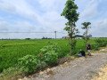 dijual-tanah-sawah-produktif-bojonegoro-small-2