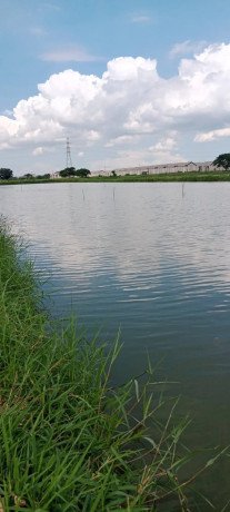 dijual-tambak-siap-usaha-banjar-sari-gresik-big-0