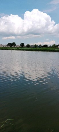 dijual-tambak-siap-usaha-banjar-sari-gresik-big-1