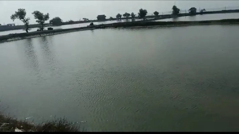 dijual-tambak-produktif-di-gresik-big-2