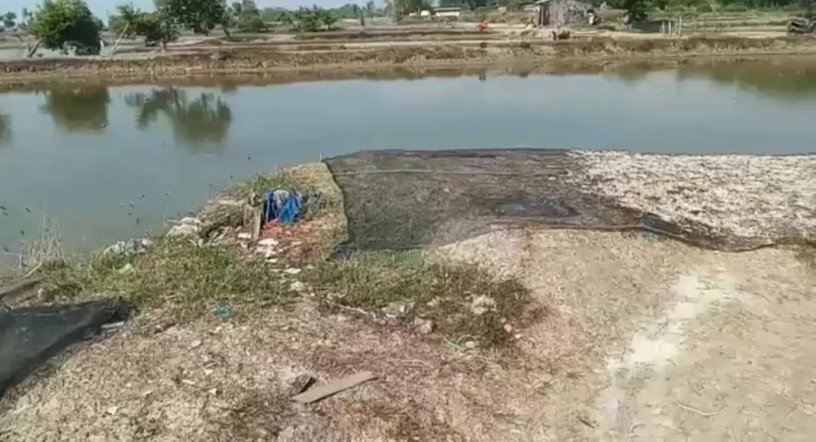 dijual-tambak-produktif-di-gresik-big-1