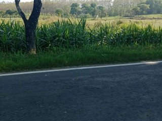 Dijual Murah Lahan Strategis 1,7 Hektar