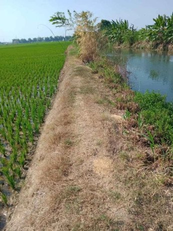 dijual-tanah-produktif-siap-usaha-pangklangan-merakurak-big-1