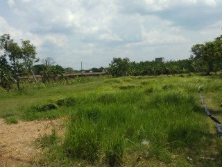 DIJUAL TANAH SHM BALEN