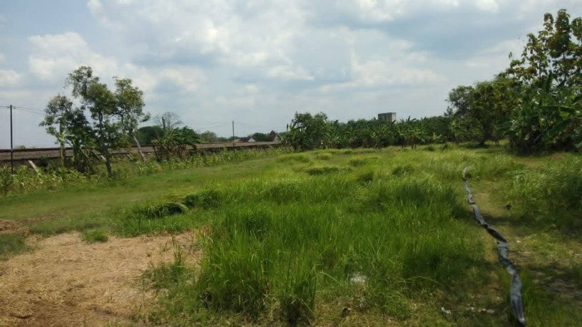 dijual-tanah-shm-balen-big-0