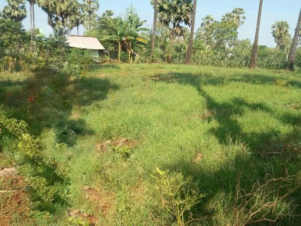 dijual-tanah-lokasi-strategis-tegalagung-ringroad-big-0