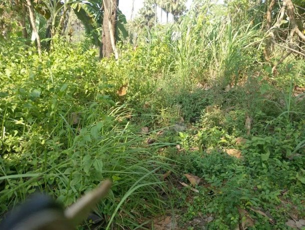 dijual-tanah-lokasi-strategis-tegalagung-ringroad-big-1