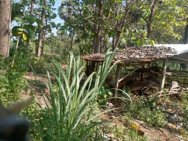 dijual-tanah-lokasi-strategis-tegalagung-ringroad-big-2