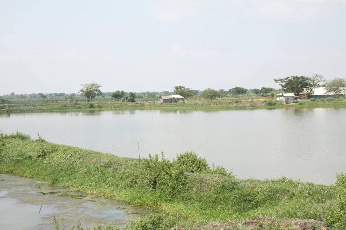 tambak-strategis-di-jalur-emas-gresik-lamongan-big-0