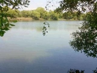 Dijual Tambak Bandeng Aktif Lokasi di Tambakoso