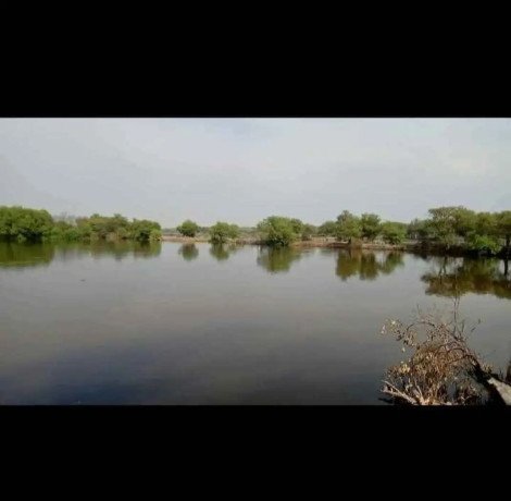 dijual-tambak-bandeng-aktif-lokasi-di-tambakoso-big-2