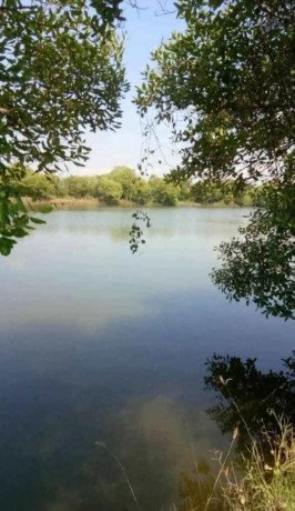 dijual-tambak-bandeng-aktif-lokasi-di-tambakoso-big-0