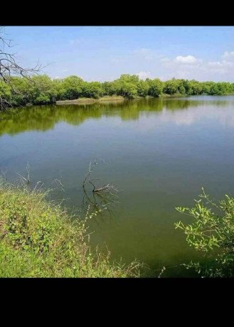 dijual-tambak-bandeng-aktif-lokasi-di-tambakoso-big-1