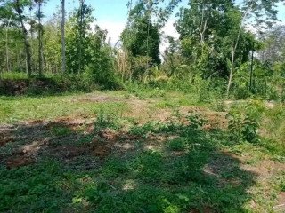 DIJUAL TANAH STRATEGIS GAJAHREJO, PURWODADI, PASURUAN