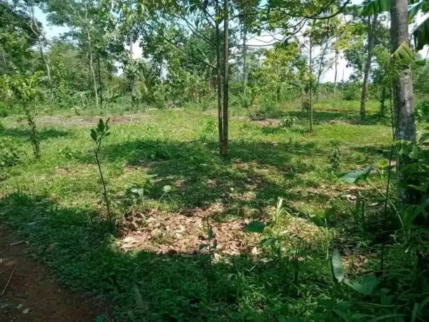 dijual-tanah-strategis-gajahrejo-purwodadi-pasuruan-big-1