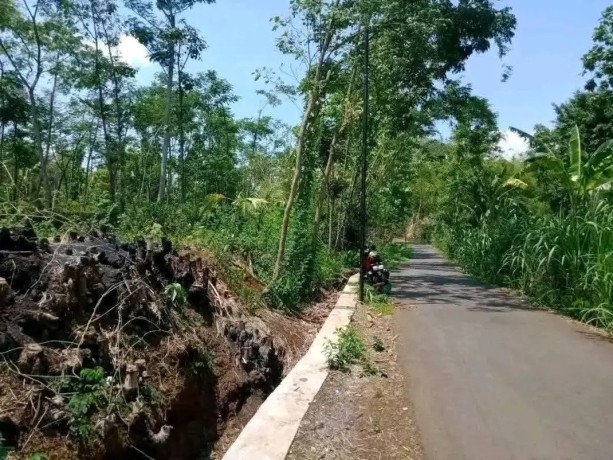 dijual-tanah-strategis-gajahrejo-purwodadi-pasuruan-big-2