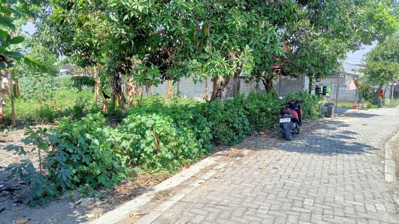 dijual-tanah-depan-pasar-sekaran-bojonegoro-big-0