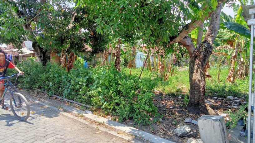 dijual-tanah-depan-pasar-sekaran-bojonegoro-big-1