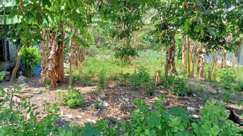 dijual-tanah-depan-pasar-sekaran-bojonegoro-big-2