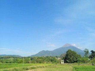 Dijual Tanah Petak Strategis Candiwates