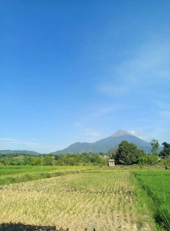 dijual-tanah-petak-strategis-candiwates-big-0