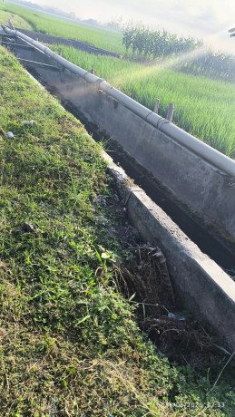 dijual-tanah-sawah-lokasi-strategis-big-3