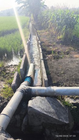 dijual-tanah-sawah-lokasi-strategis-big-2