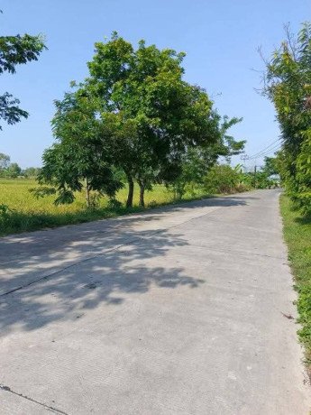 dijual-sawah-siap-guna-tanjung-harjo-kapas-bojonegoro-big-1