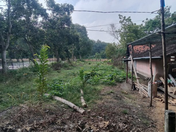 dijual-tanah-siap-bangun-investasi-big-0