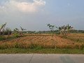 jual-lahan-sawah-semen-pingir-kapas-bojonegoro-small-0