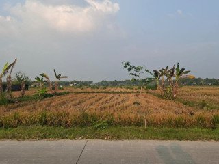 JUAL LAHAN SAWAH SEMEN PINGIR, KAPAS, BOJONEGORO