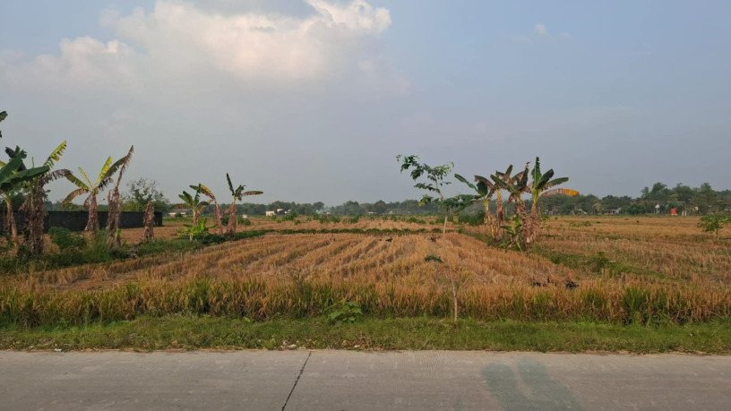 jual-lahan-sawah-semen-pingir-kapas-bojonegoro-big-0