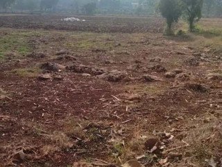 DIJUAL LAHAN PEKARANGAN SHM GEDONGOMBO, TUBAN