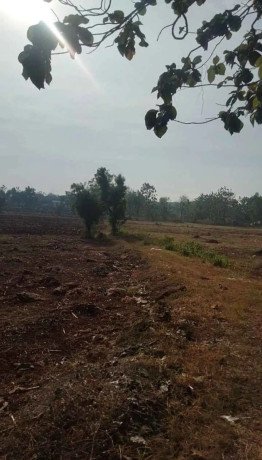 dijual-lahan-pekarangan-shm-gedongombo-tuban-big-1