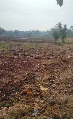 dijual-lahan-pekarangan-shm-gedongombo-tuban-big-0