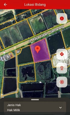 dijual-tanah-tambak-strategis-jl-raya-pantura-jenu-tuban-big-0