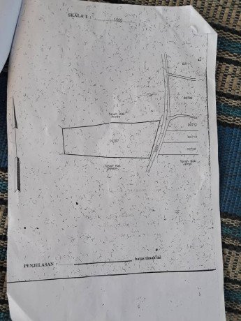 dijual-tanah-sawah-strategis-gresik-big-3