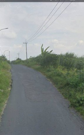 dijual-tanah-sawah-strategis-gresik-big-1