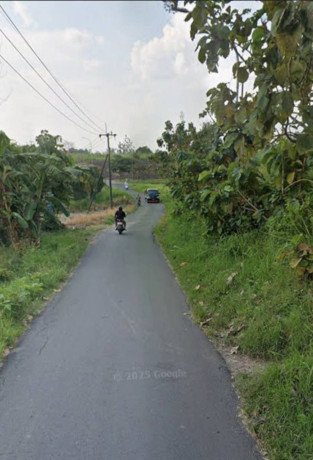 dijual-tanah-sawah-strategis-gresik-big-2