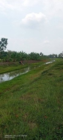 dijual-sawah-siap-tanam-bojonegoro-big-1