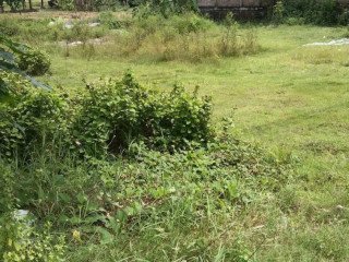 Dijual Tanah Pekarangan SHM Lokasi Strategis Sumberrejo, Bojonegoro