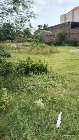 dijual-tanah-pekarangan-shm-lokasi-strategis-sumberrejo-bojonegoro-big-0