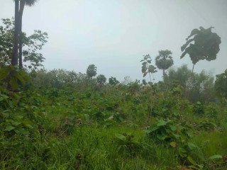 Dijual Tanah Strategis di Semanding Tuban