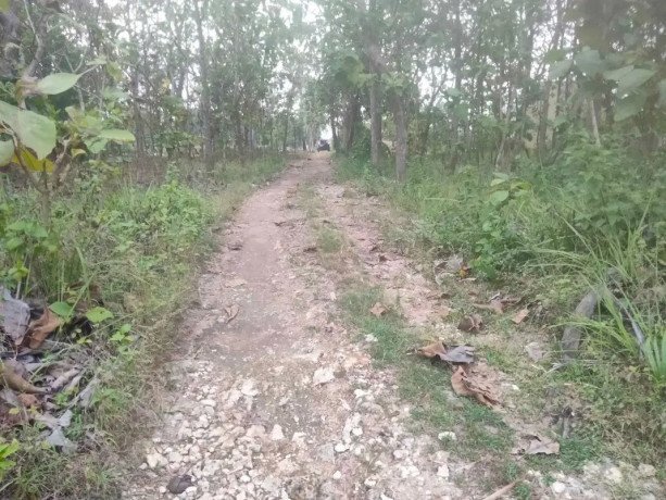 dijual-tanah-strategis-di-semanding-tuban-big-1